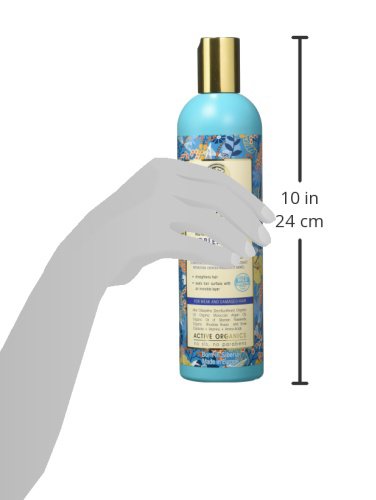 Natura Siberica, Professional Oblepikha odżywczy szampon do włosów słabych i uszkodzonych, ml, granatowy, drzewo sandałowe, 400 ml