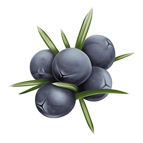 Logona Naturkosmetik Szampon Przeciwłupieżowy Organiczny Olejek Jałowca, 250 ml