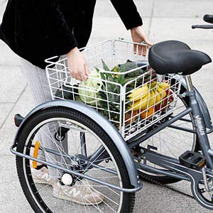 Viribus Rower trójkołowy dla dorosłych, 24", z koszem, 3 koła, dla dorosłych, trójkołowy rower (szary)