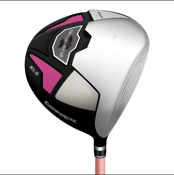 Zestaw damskich kijów golfowych, zestaw damskich kijów golfowych Kompletny zestaw kijów golfowych dla praworęcznych, zestaw kijów golfowych z kijami golfowymi i torbą stojącą dla kobiet i początkują