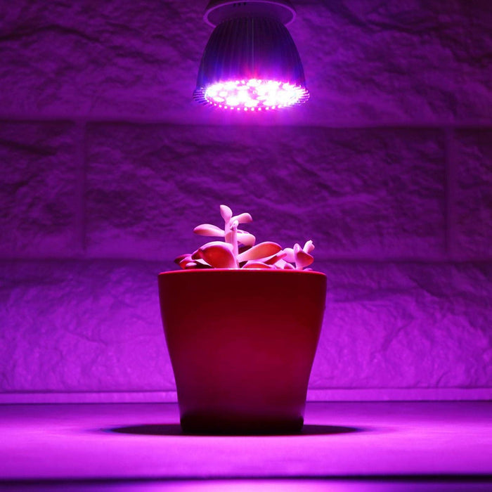Rosną światło, oszczędzając energię Rosną światła dla roślin domowych Żarówka LED E27 do małego wzrostu Box do ogrodu Bonsai