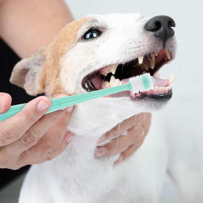 Molain 2 szt. 360 stopni szczoteczka do zębów dla psa, miękkie silikonowe szczoteczki do zębów dla zwierząt domowych z 2 pudełkami, szczoteczka do zębów dla kotów, szczoteczka do zębów dla szczeniaka, zestaw do czyszczenia zębów dla psów kotów mała rasa (