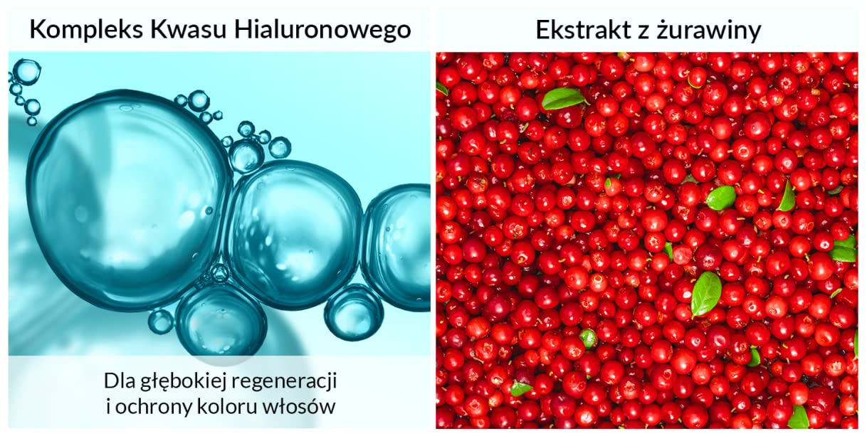 Schwarzkopf Gliss Colour Perfector ekspresowa odżywka do włosów farbowanych i rozjaśnianych 200ml