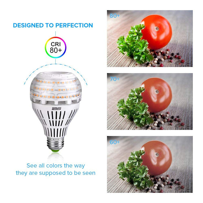 SANSI Żarówka LED E27, 22 W, zastępuje żarówkę o mocy 200 W, gwint Edison E27, 5000 kelwinów, zimna biel, 3000 lumenów, super jasne diody LED do kuchni, warsztatu, garażu, podwórza, bez możliwości ściemniania, 2 sztuki