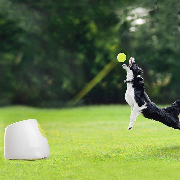 ALL FOR PAWS Automatyczna wyrzutnia piłek, zabawka dla psa, interaktywna zabawka do podnoszenia szczeniaka, maszyna do rzucania piłek tenisowych dla małych i średnich psów, 3 piłki tenisowe w zestawie, wersja mini