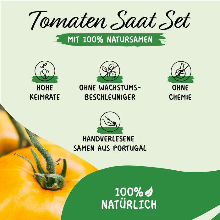 Zestaw nasion pomidorów, 16 x 10 nasion pomidorów, w 100% naturalne, wybrane ręcznie w Portugalii, rzadkie i stare odmiany, nasiona o wysokim stopniu kiełkowania, nasiona pomidorów do ogrodu, na balkon, taras, do szklarni