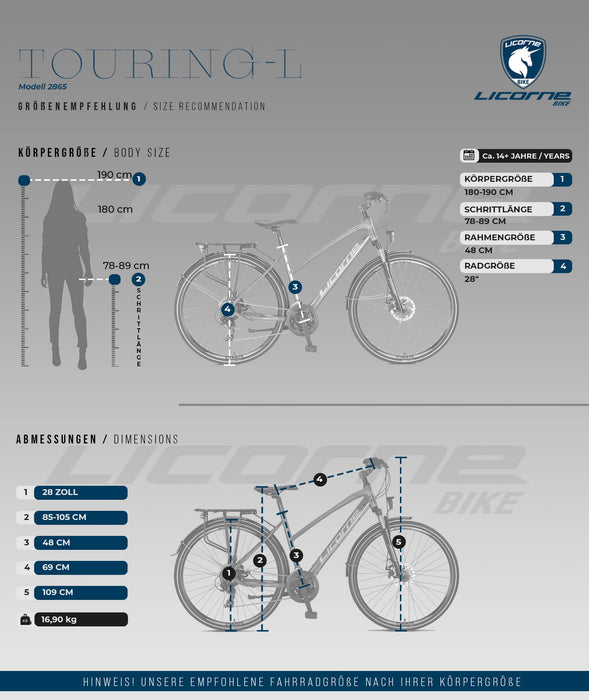 Licorne Bike Rower trekkingowy klasy premium, 28 cali, aluminiowe hamulce tarczowe, rower dla chłopców, dziewcząt, kobiet i mężczyzn, 21-biegowa przerzutka, rower górski (damski, tytanowy niebieski)