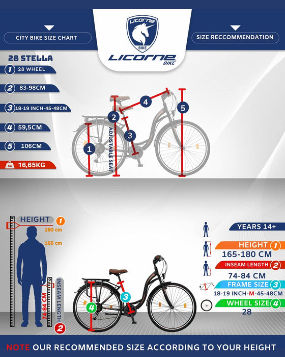 Licorne Bike Stella Premium City Bike rower miejski o średnicy koła 24, 26 i 28 cali – rower dla dziewcząt, chłopców, mężczyzn i kobiet – 21-biegowa przerzutka, rower holenderski, rower miejski