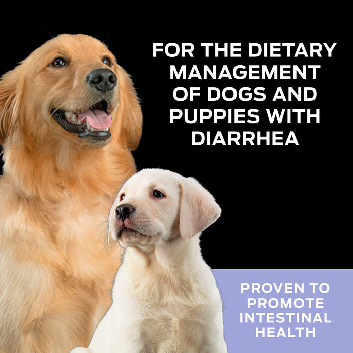 Purina Pro Plan Diety Weterynaryjne Probiotyki Suplement Dla psów, Fortiflora Canine Suplement odżywczy - 30 ct. Pudełka