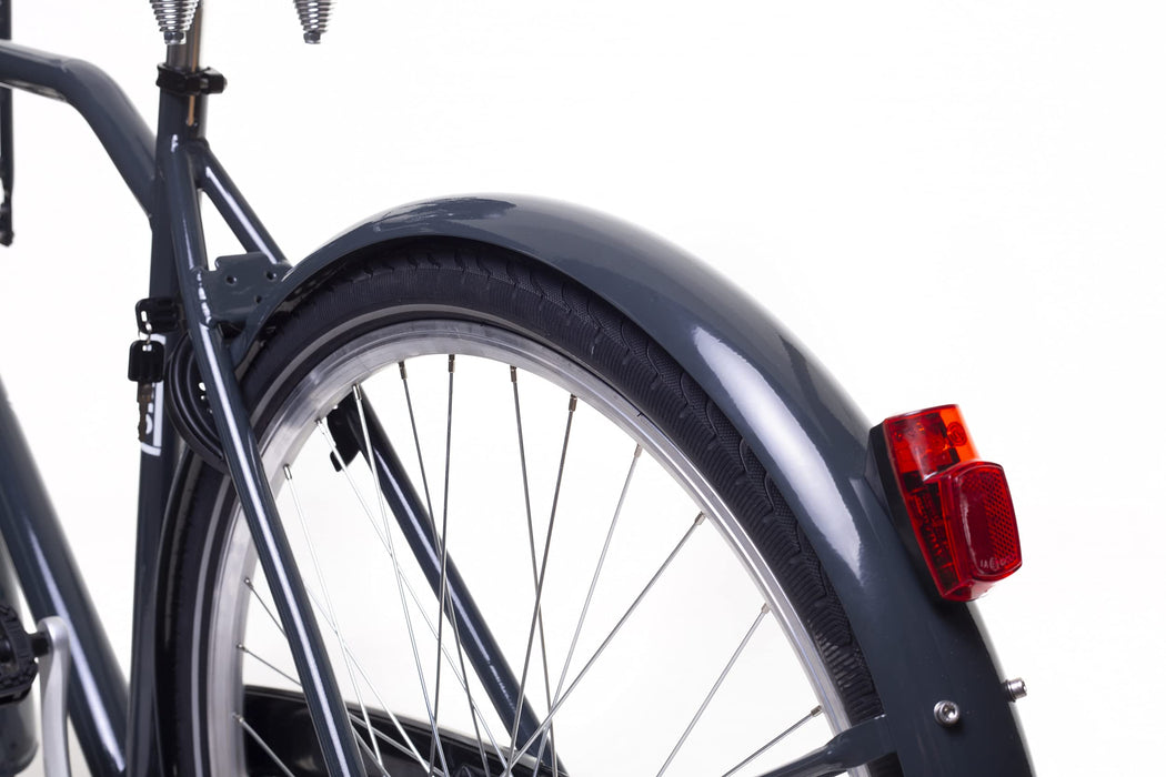 Amigo Forest – rowery miejskie dla mężczyzn 28 cali – 3-biegowa przerzutka Shimano, odpowiednie od 185 – 190 cm – rower miejski z hamulcem ręcznym, pedałem, bagażnikiem z przodu, oświetleniem i stojakiem na rower – kolor szary