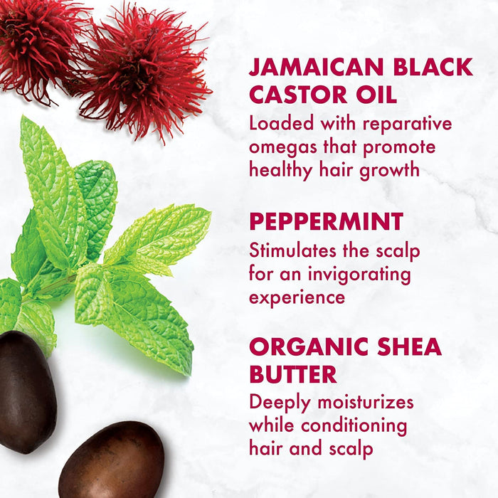 Shea Moisture Jamaican Black Castor Oil Leave In Cond.16oz