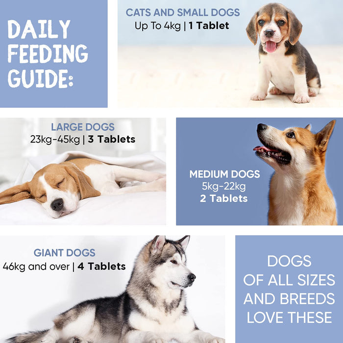 Animigo Pomoc w układzie moczowym dla psów - 120 tabletek - witaminy na pęcherz, nerki i drogi moczowej - naturalne składniki z żurawiną i mannozą - dla aktywnych psów - mocznik do dogów - smak kurczaka