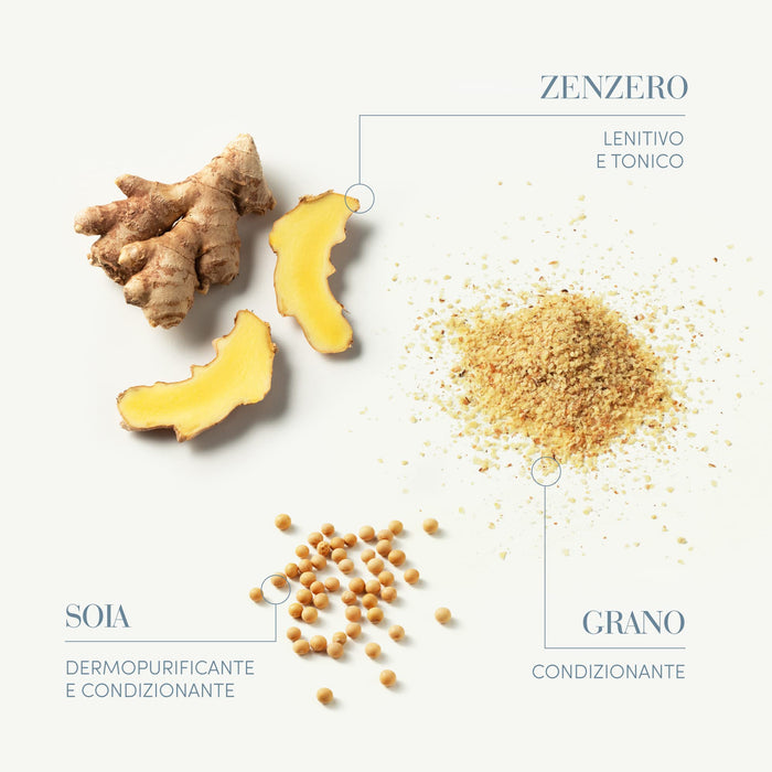 Medavita - Requilibre szampon regulujący wydzielanie sebum pH 5,5