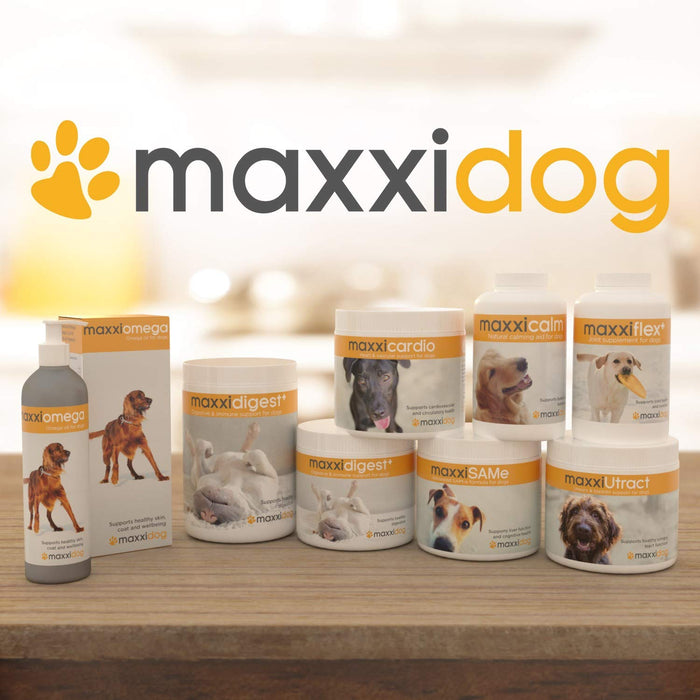 maxxiflex+ tabletki stawowe dla psów, diabelski pazur, MSM, glukozamina, kwas hialuronowy, chondroityna, bromelaina, kurkuma, 120 sztuk