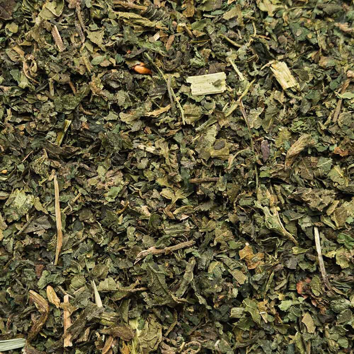 Biotiva Herbata z liści pokrzywy bio 250 g - herbata pokrzywowa luzem - czyste zioła pokrzywowe - napełniona i kontrolowana w Niemczech