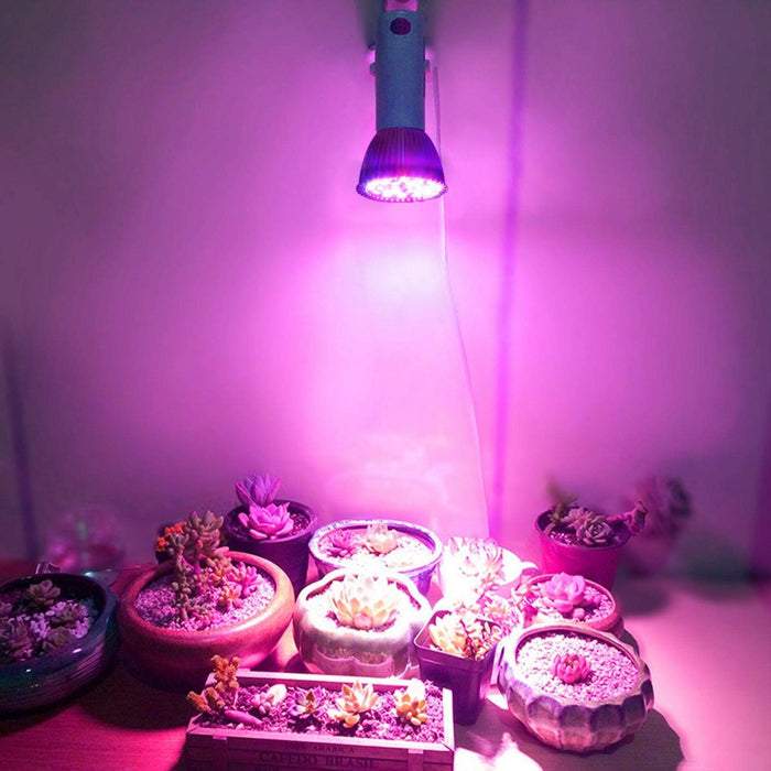 Rosną światło, oszczędzając energię Rosną światła dla roślin domowych Żarówka LED E27 do małego wzrostu Box do ogrodu Bonsai