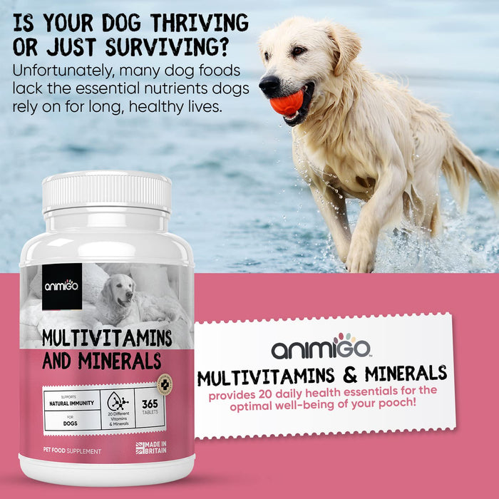 Multiwitaminy dla psów w tabletkach - 365 tabletek (zapas do jednego roku) 23 Suplementy witaminowo-mineralne dla psów Leczenie zdrowotne i ulgi żywieniowe, Mieszanka witamin i minerałów, Przyjazny dla szczeniąt i psów