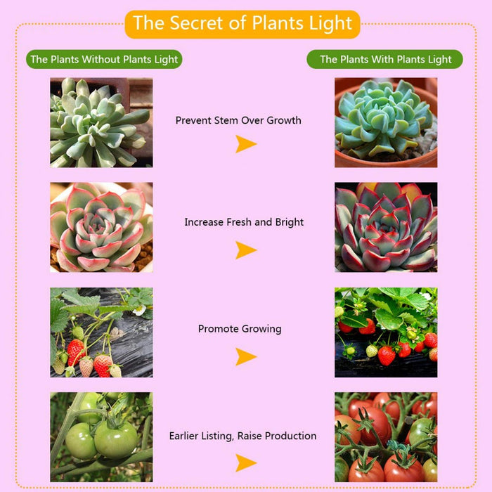 Rozwijaj światło, oszczędzając energię Roślina do uprawy na kwiat do małego pudełka do uprawy na ogród Bonsai do DIY roślina hydroponiczna