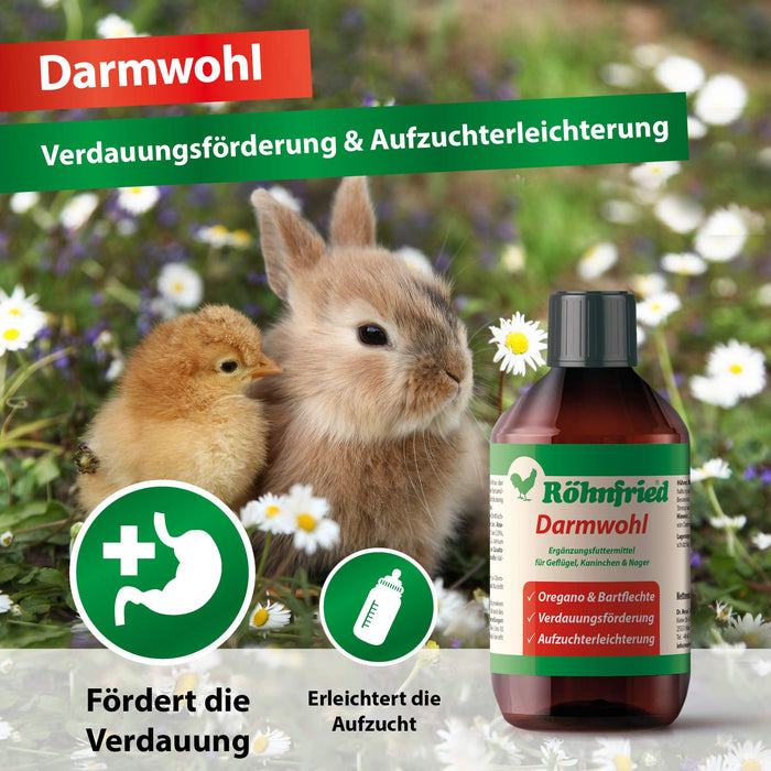 Röhnfried Suplement diety jelita (250 ml) dla gryzoni, drobiu i małych zwierząt, wspomagane trawienie i ułatwiona hodowla, z oregano i pleśnią brody