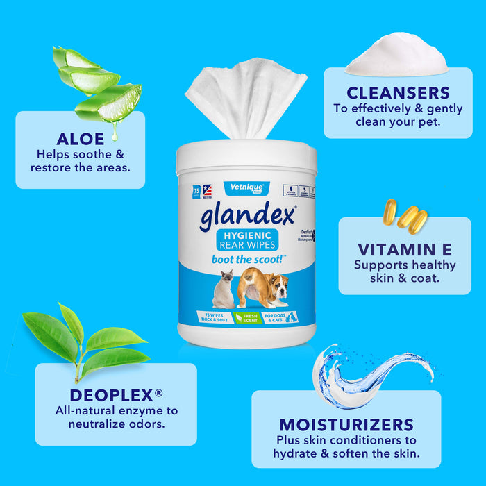 glandex Chusteczki dla psów oczyszczające, dezodoryzujące, higieniczne chusteczki do pielęgnacji gruczołów (pojemnik 75 karatów) – od Vetnique Labs