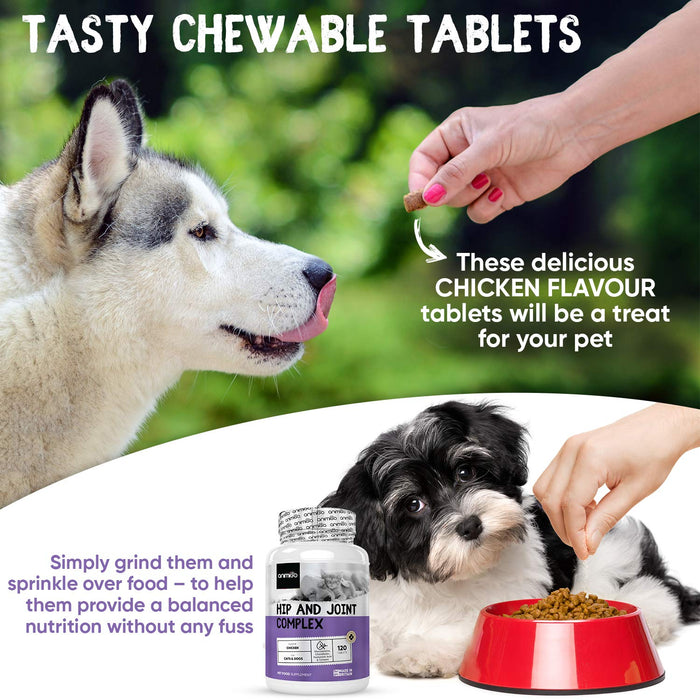 Hip & Joint Complex - 120 tabletek - Suplement diety wspomagający stawy i biodra dla psów i kotów, tabletki z glukozaminą dla psów i kotów, z kurkumą, MSM i kwasem hialuronowym, naturalne wsparcie, silna pomoc dla stawów