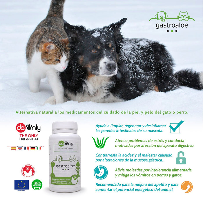 DAONLY Tabletki aloesowe dla psów i kotów, zdrowe trawienie dla zwierząt domowych, naturalna pomoc w budowaniu wrażliwych problemów żołądkowych i jelit, suplement diety dla psów i kotów