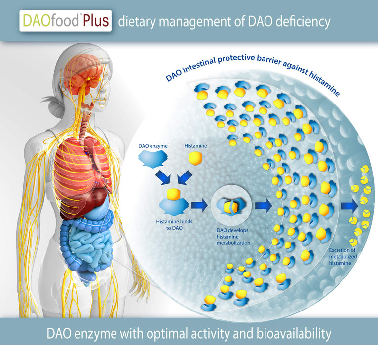 DAOfood Plus - Dietetyczne Postępowanie w Przypadku Niedoboru DAO - 60 EFICAPS Kapsułki z Tabletkami Dojelitowymi - Enzym DAO, Kwercetyna i Witamina C