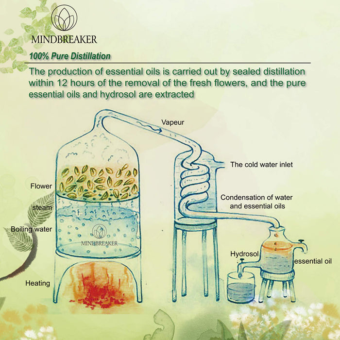 Organiczny eteryczny olejek lawendowy, pachnące olejki z organiczną aromaterapią, 100% czystych terapeutycznych olejków eterycznych najwyższej jakości (100 ml)