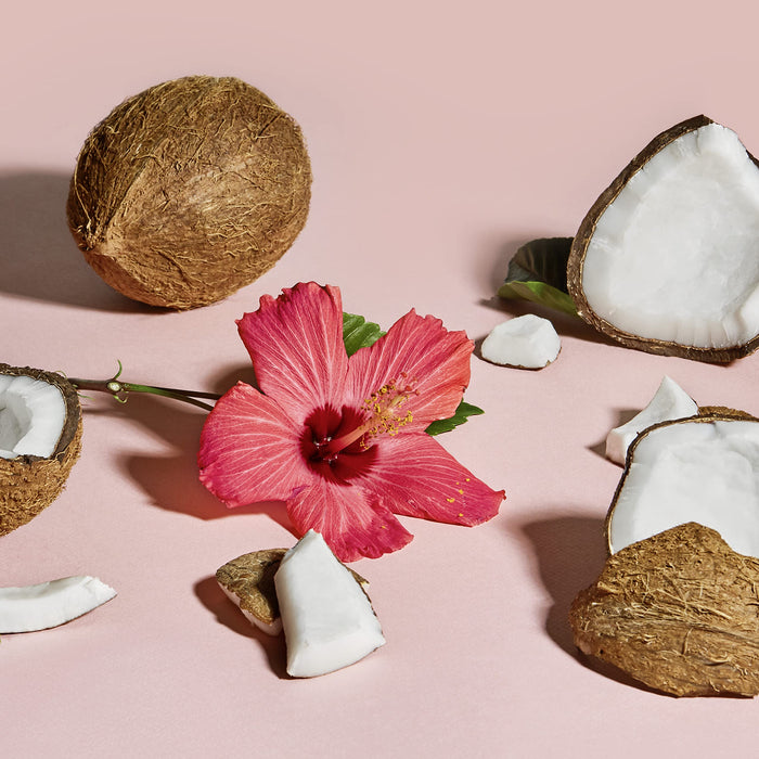 Shea Moisture Coconut und Hibiscus Curl und Shine Conditioner, 1 opakowanie (1 x 384 ml)