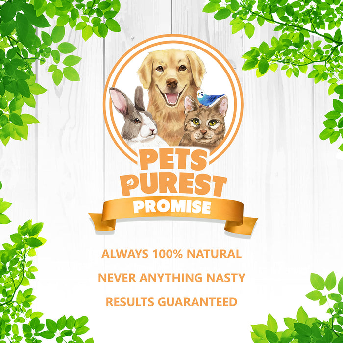 Pets Purest 100% naturalny olej z łososia premium dla psów, kotów, koni i zwierząt domowych. tłoczony na zimno z kwasami tłuszczowymi Omega 3 i Omega 6, olej rybny dla szczeniaków, dorosłych, senior, bez dodatków, dodatek barf (500 ml)