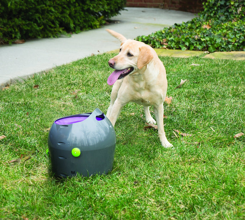 Petsafe PTY19-15850 Interaktywna Maszyna do Rzucania Piłek Tenisowych dla Psów, 30.48 x 34.29 x 34.29 cm