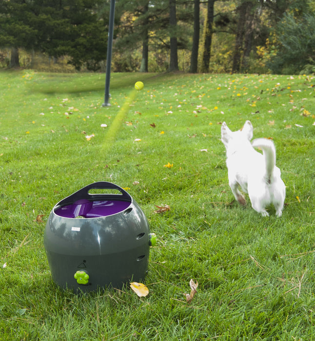 Petsafe PTY19-15850 Interaktywna Maszyna do Rzucania Piłek Tenisowych dla Psów, 30.48 x 34.29 x 34.29 cm