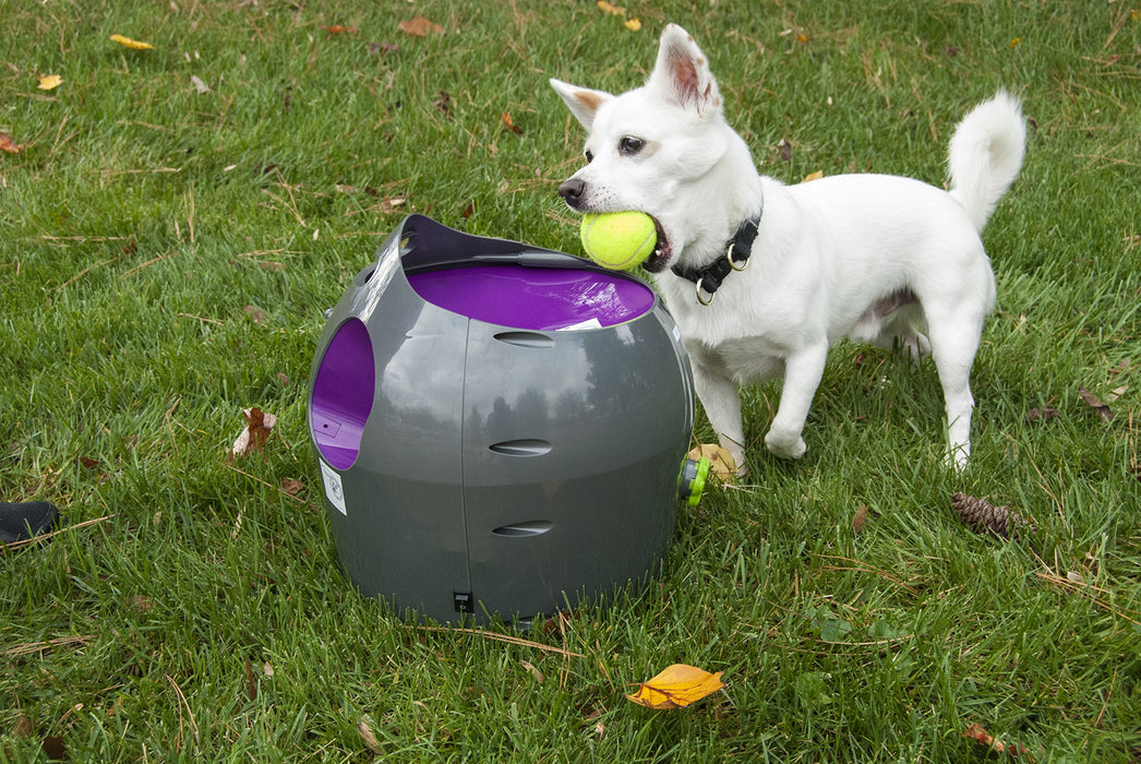 Petsafe PTY19-15850 Interaktywna Maszyna do Rzucania Piłek Tenisowych dla Psów, 30.48 x 34.29 x 34.29 cm